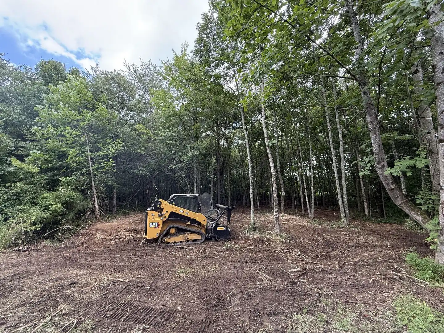 Skid steer with mulching attachment selectively clearing a wooded site